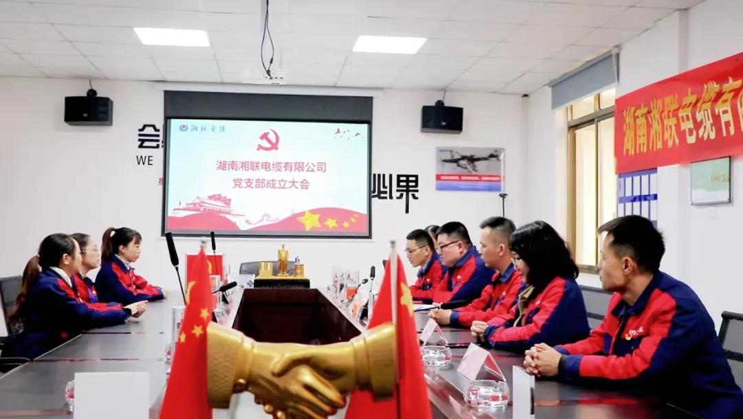 新征程 | 熱烈祝賀湖南湘聯(lián)電纜有限公司黨支部正式成立！