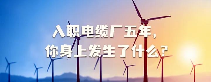 入職電纜廠五年，你身上發(fā)生了哪些變化~