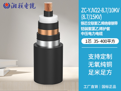 如何設(shè)計(jì)電纜以適應(yīng)高溫環(huán)境并保證其性能？